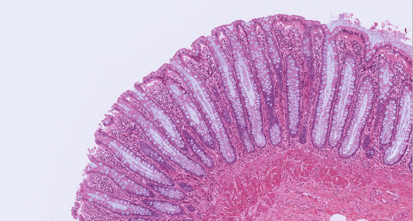 Zrzut ekranu 2024-01-17 125244